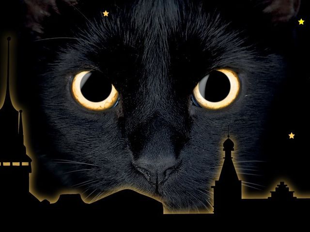 banner pmn1.jpg